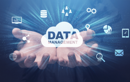 Afbeelding voor categorie Data Management & Analysis