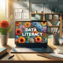 Afbeeldingen van Datageletterdheid (Data Literacy)